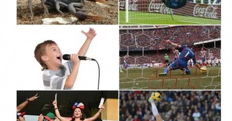 La mejor enfermedad del mundo